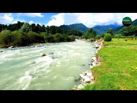 Beautiful Kashmir Gardens | Green Mughal Gardens in Kashmir | Heavenly Gardens of Kashmir