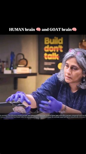 What makes the human brain different from a goat brain🧠 #motivation #clips