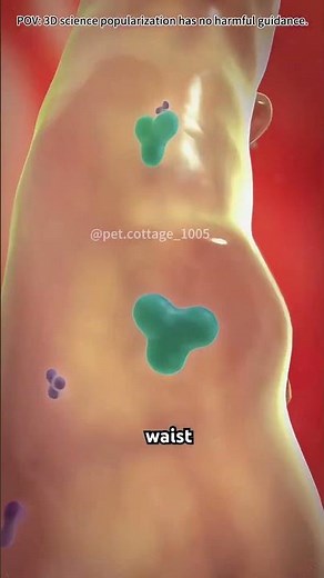 How enema therapy cleans your colon instantly #motivation #3danimation #doctor