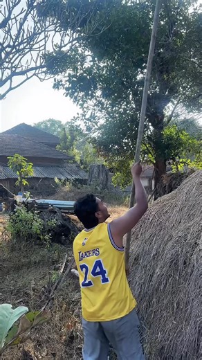 Kruthik on Instagram: "ಇವತ್ತು ಹುಣಸೆ ಹಣ್ಣು ಕೊಯ್ಯೋಕೆ ಹೋಗಿದ್ವಿ 😅 @kruthik_sgr #fyp #explorepage #funny #comedy #funwithfriends"