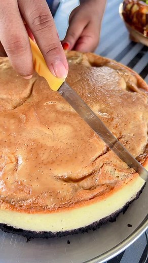 Delicious Cheesecake Cutting and Serving Video