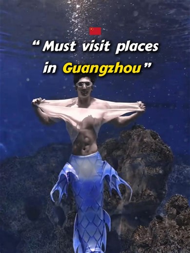 4 must visit places in Guangzhou! Aquarium、Coffee Shop、Muscle Man Restaurant、Kitty Cat Cafe Shop #travelchina #travelchinaguide #tour #coffee #guangzhou #restaurant
