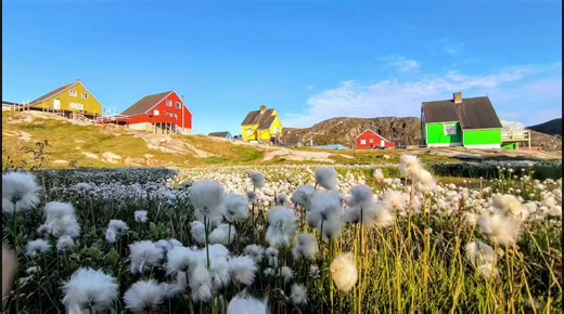 Pakkua Nunarsuit Puvikkalaartut. Ilulissani Erinarsoqatigiit.