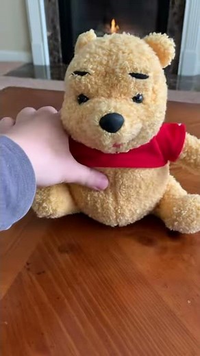 Winnie the Pooh exercise song plush