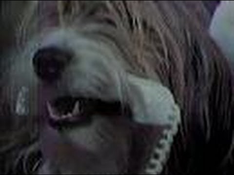 WFLD Channel 32 - The Six Million Dollar Man - "The Bionic Woman Part 2" (Commercial Break #3, 1978)