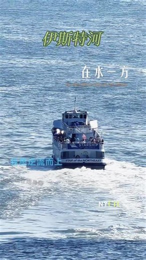 纽约伊斯特河 #纽约曼哈顿 #纽约生活 #纽约旅游攻略 #纽约旅游景点 #北美旅游