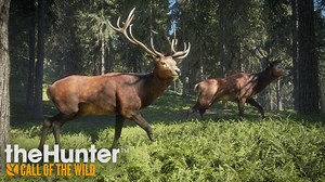 VIDEO - Gameplay Trailer Following last week’s reveal, we’re now excited to share the Gameplay Trailer for theHunter: Call of the Wild! The entire trailer is rendered by Apex – Avalanche Studios Open World Engine – and features diverse gameplay, uniquely lifelike visuals, an immersive soundscape and levels of detail previously never seen in a hunting game. Learn more at callofthewild.thehunter.com. | TheHunter: Call of the Wild
