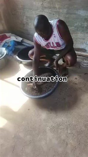 Our fishes enjoy a balanced diet that supports strong growth and safe consumption for our customers. 🌱 Organic feeding. Healthy fish. Happy customers. #AgboolaIntegratedFarms #OrganicFishFarming #MaggotProduction #NaturalFishFeed #SustainableAquaculture