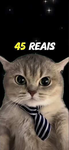 🚨😺 ATENÇÃO, NERDS! Virada de lote Nerd Experience explicada por gatinhos