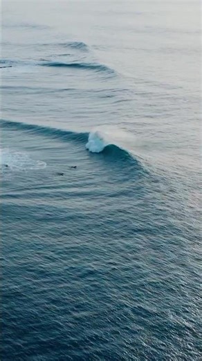 宮崎のスペシャルウェーブを堪能！最高すぎる...#surfing #サーフィン