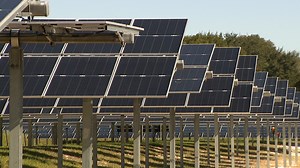 Applications now open for Mount Dora's community solar program