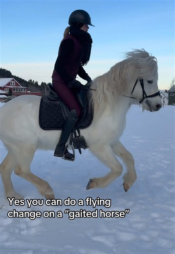 Mastering Flying Changes with Gaited Horses