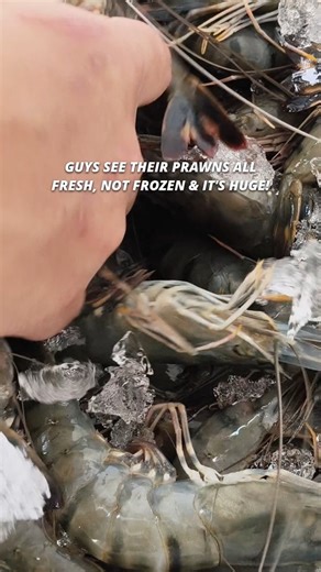 @temookata $14.90 Mookata Buffet, CHEAPEST IN SINGAPORE!! Address: BLK 156 Yishun Street 11, #01-122, Singapore 760156 (Do note that they have 5 outlets in Singapore) | Botak Jazz