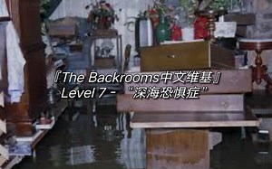 『The Backrooms中文维基』Level 7 - “深海恐惧症”