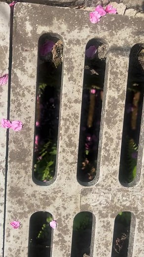 clip by juleko_o #China #cottagecore #fairytale #fairycore #fairyaesthetic #flowers #nature #naturephotography #scenery | Damn where did you find this aesthetic