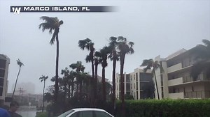 6.6K views · 68 reactions | IN THE EYE - Check out this live look from the eye of Hurricane Irma in Marco Island, FL We are LIVE right now with our coverage from the field | WeatherNation | Facebook