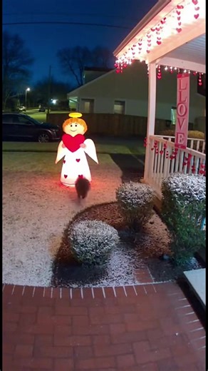 Mapache vs. Ángel Inflable Un mapache causa caos con un ángel de jardín. ¡Mira la diversión! #fblifestyle #AI Generated using Kling AI . . . (Sólo con fines de entretenimiento. Consulte a profesionales si se presentan orientaciones sobre actividades. Si se muestra alguna marca, no implica ninguna afiliación. Si se inspiran en hechos reales, pueden incluirse adaptaciones creativas. El contenido puede incluir imágenes públicas.) | Amo a los animales