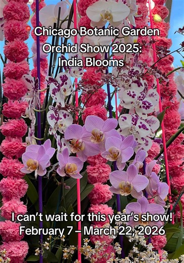 Chicago Botanic Garden Orchid Show 2026 Dates