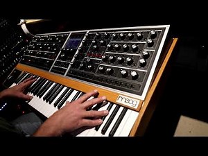 Moog One demo by MANMADEMADMAN (no talking)