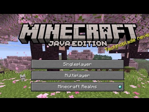 Playing Minecraft Java with viewers