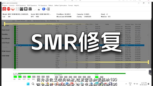 DFL处理WD20SDRW-830067-固件修复190修复数据恢复案例