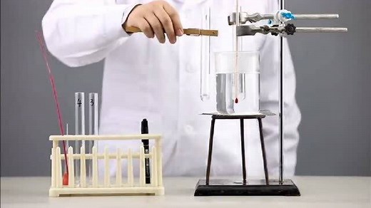 实验8.比较过氧化氢在不同条件下的分解实验视频