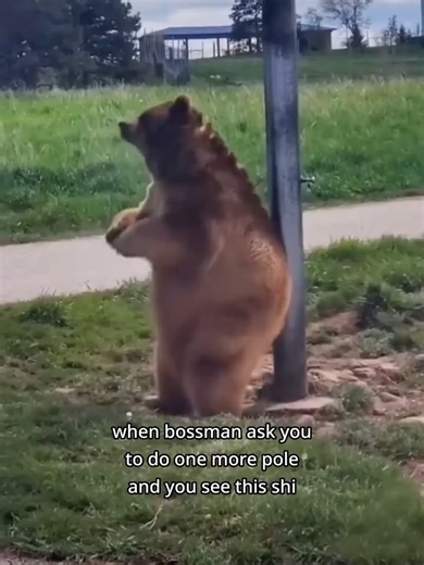 LINEKID LINEPAK ⚡️ A new flexible way to stay connected to LineCrate but still special. Same Line Life pride. Built for the next generation of LineKids. LineKid LinePak Sneak Peek: Featuring the “Build-a-LineMan Bear” When bossman says one more pole… and your mini linecrew is ready to help. 😆⚡️ Simple. Proud. Line Life. #BlueCollar #PowerLineman #Lineworker #IBEW #fyp #fypchallenge