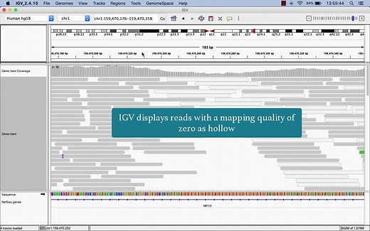 IGV 可视化工具官方教程--02-sequencing data basic
