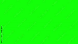 Animated Folder Icon Green Screen