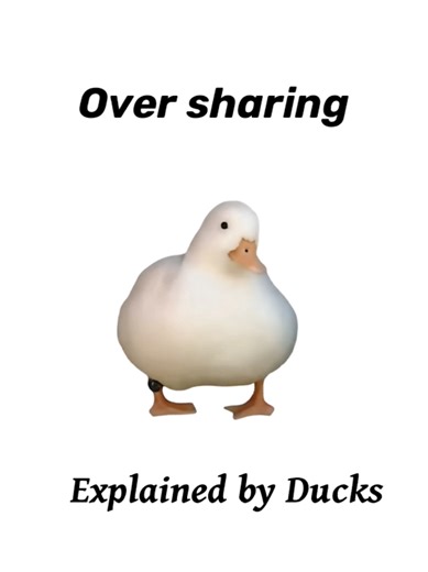 Over Sharing Explained by Ducks #over #sharing #explain #duck #fyp