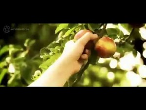 The Vampire Diaries Season 1 Promo