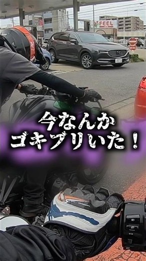 Total panic after a cockroach appears on the bike