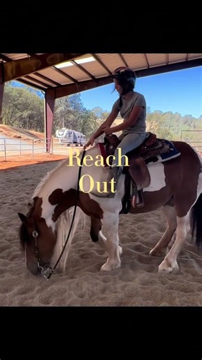 Come with me #fyp #overo #draft