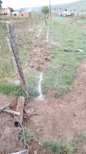 BOSS M.G (@boss.m.g81)’s videos with original sound - SyaMyeza366