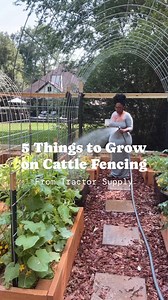 5M views · 60K reactions | SAVE THIS POST: There are endless...