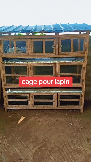 Comptes suggérés