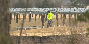 Foley solar farm back on track after ownership change