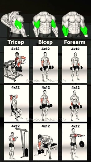 "Strengthening Your Core: The Power of the Dolé"