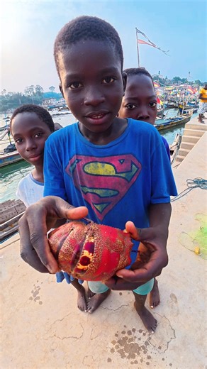 Discover the Sweet and Tender Slipper Lobster Delights