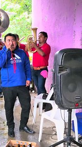 LA MULA BRONCA BANDA SAN JOSÉ DEL PUENTE. EN PALO GORDO GUERRERO.01_12_2025 | El Guerrero De Tierra Colorada