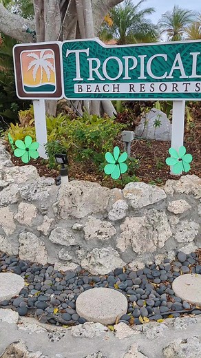 Take a moment to admire the beautiful things. 🌳 | Tropical Beach Resorts