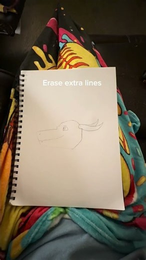 How to draw a dragon