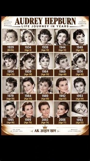Audrey Hepburn Life Journey in Years | 1929–2006 Timeline ✨🤯 #audreyhepburn #lifejourney #facts #fyp