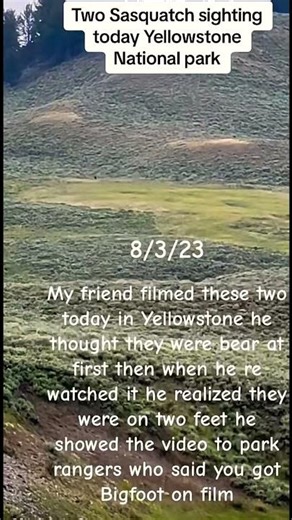2 Bigfoot Filmed Running Across Field at Great Speed in YellowStone National Park!