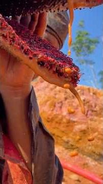 Amazing!!😱 This is how I filter gold using an Alkon machine and a filter box.