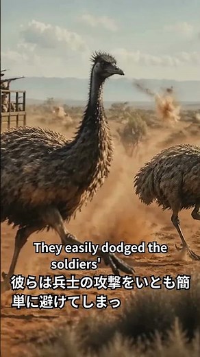 🪖🇦🇺 The Great Emu War | 人間 vs 鳥！？オーストラリアで実際に起きた「エミュー戦争」
