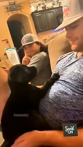 350K views · 10K reactions | Funny and cute dogs compilation (173)️ #NatureLovers #HikingLife #WildernessCulture #FreshAir #ScenicRoutes | Animal Pals World | Facebook