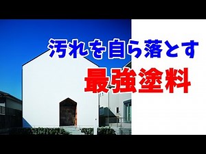 Photocatalytic paint is the best for white walls.