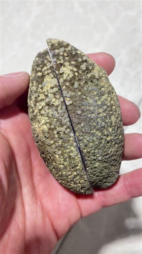 Lavender Haze in a rock🤩 🏳️‍🌈The softest lilac banding hidden inside a rough agate.🪨This color is just pure serotonin. #agatehunting #crystalcollection #crystalcollector #crystalshop #crystalhealing