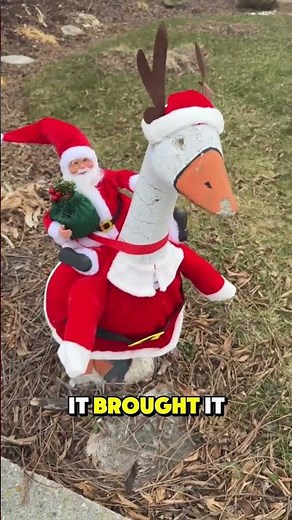 The Porch Goose Era Has Begun